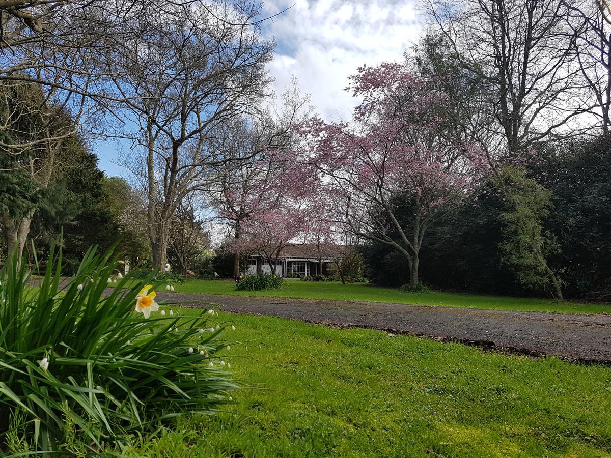 Woodbury Farm B&B Takanini Zewnętrze zdjęcie